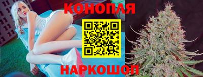 шишки Будённовск