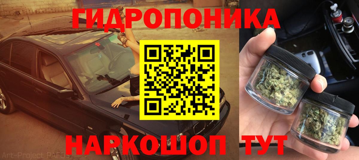 Конопля планчик Норильск